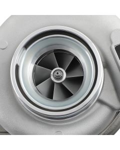 2841961-nvl%281%29.jpg