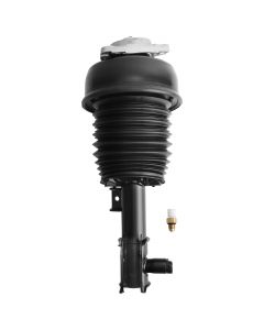 as-113fl%281%29.jpg