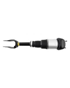 as-166fl%281%29.jpg