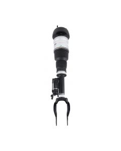 as-313fl-lc%281%29.jpg