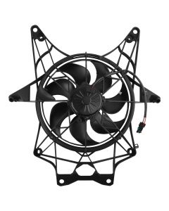 cf-00588-ass%281%29.jpg