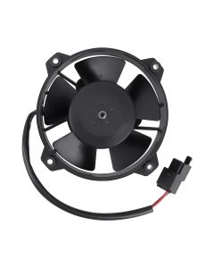 cf-03018%281%29.jpg