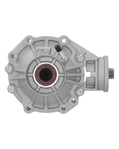dif-02808%281%29.jpg