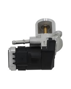 egr-00460%281%29.jpg