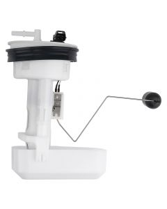 fp-31g03%281%29.jpg