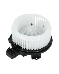 hb-700062%281%29.jpg