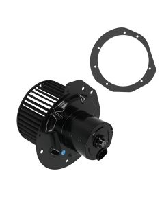 hb-700146%281%29.jpg