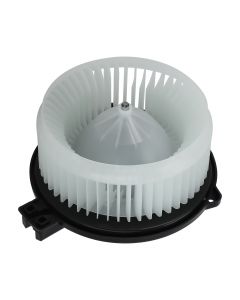 hb-700192%281%29.jpg