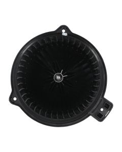 hb-700229%281%29.jpg