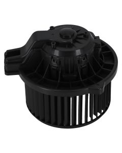 hb-700286%281%29.jpg
