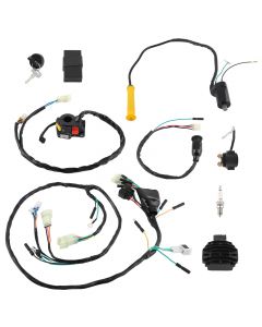 ic-n1003%281%29.jpg