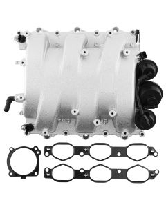 im-02101-vl%281%29.jpg
