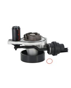 wp-38026%281%29.jpg