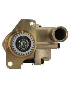 wp-42502%281%29.jpg