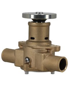wp-57031%281%29.jpg