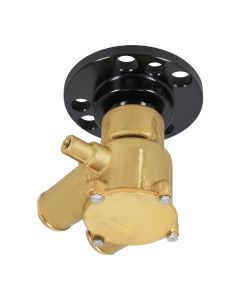 wp-60703%281%29.jpg