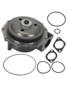 wp-r0484%281%29.jpg