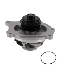 wp-w6076%281%29.jpg